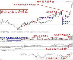 从股票盈利大涨，探寻健康向上生活之道