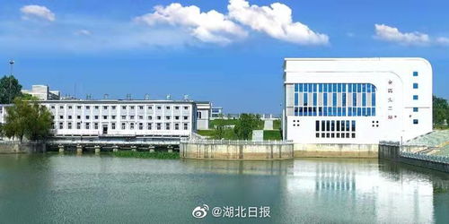 《湖北省水利厅：守护水资源的绿色守护者》